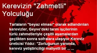 Kerevizin 'Zahmetli' Yolculuğu