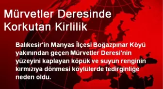 Mürvetler Deresinde Korkutan Kirlilik