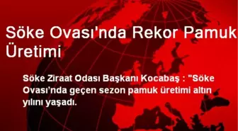 Söke Ovası'nda Rekor Pamuk Üretimi