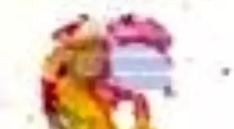 Bir Masal İsmet Özel'i Kitabı