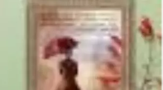 Kırmızı ve Siyah (Timeless) Kitabı