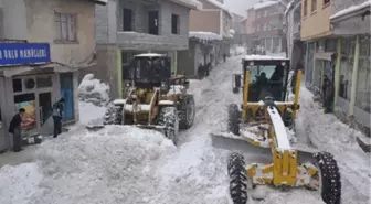 Muş'ta Karla Mücadele