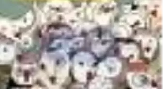 Notos Öykü Sayı: 44 Kitabı Çıktı