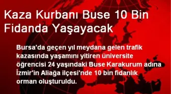 Kaza Kurbanı Buse 10 Bin Fidanda Yaşayacak