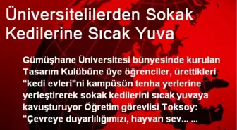 Üniversitelilerden Sokak Kedilerine Sıcak Yuva