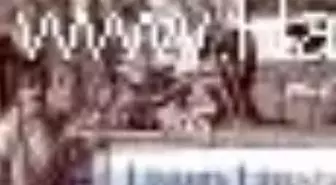 Lavanta Lavanta Kitabı