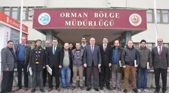 3 Yılda 19 Milyon Fidan Dikildi