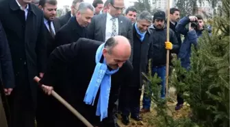 Bakan Müezzinoğlu, Yeşil Vadi'ye Fidan Dikti