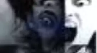 Hiçliğin Özgürlüğü Kitabı