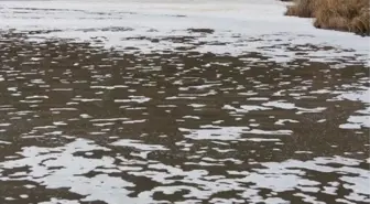 Manyas'taki Dere Kirliliği