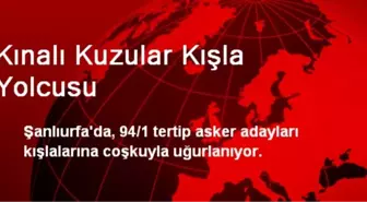 Kınalı Kuzular Kışla Yolcusu