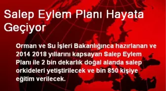 Salep Eylem Planı Hayata Geçiyor