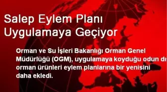 Salep Eylem Planı Uygulamaya Geçiyor