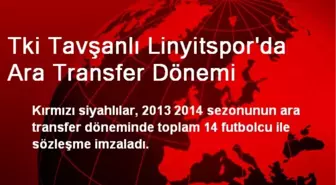 TKİ Tavşanlı Linyitspor'da Ara Transfer Dönemi