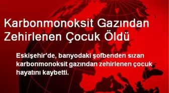 Eskişehir'de Karbonmonoksit Gazından Zehirlenen Çocuk Öldü