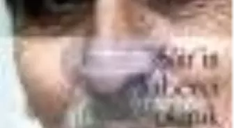 Şair'in Haberci Olarak Portresi Kitabı Çıktı