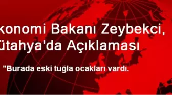 Ekonomi Bakanı Zeybekci, Kütahya'da Açıklaması
