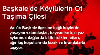 Başkale'de Köylülerin Ot Taşıma Çilesi