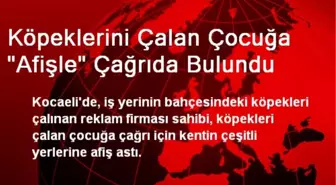 Köpeklerini Çalan Çocuğa 'Afişle' Çağrıda Bulundu