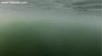 Dalgıçlar, Sapanca Gölü'nün zeminini görüntüledi -