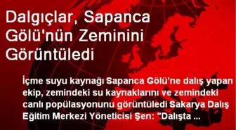 Dalgıçlar, Sapanca Gölü'nün Zeminini Görüntüledi