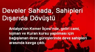 Develer Sahada, Sahipleri Dışarıda Dövüştü