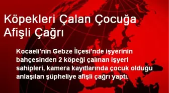 Köpekleri Çalan Çocuğa Afişli Çağrı