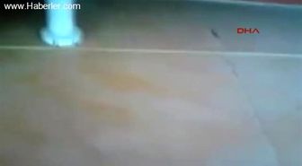Kedi Öldürme Görüntüsüne Gözaltı