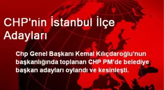 CHP'nin İstanbul İlçe Adayları