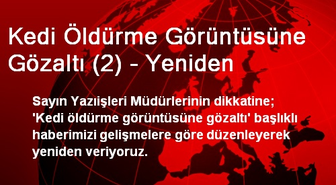 Kedi Öldürme Görüntüsüne Gözaltı (2) - Yeniden