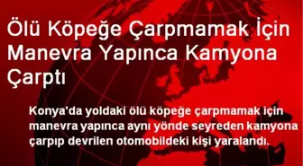 Ölü Köpeğe Çarpmamak İçin Kamyona Çarptı