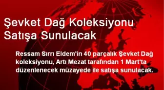 Şevket Dağ Koleksiyonu Satışa Sunulacak