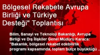 Bölgesel Rekabete Avrupa Birliği ve Türkiye Desteği' Toplantısı