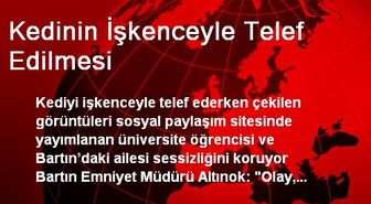 Kedinin İşkenceyle Telef Edilmesi