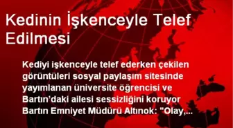 Kedinin İşkenceyle Telef Edilmesi