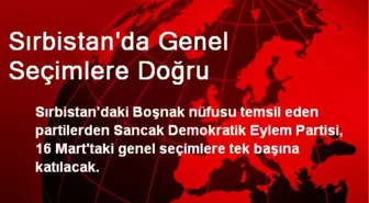 Sırbistan'da Genel Seçimlere Doğru