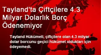 Tayland'ta Çiftçilere 4.3 Milyar Dolarlık Borç Ödenemiyor