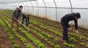 Germencik'te Seracılık Kursu Açıldı