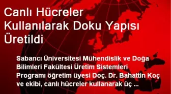 Canlı Hücreler Kullanılarak Doku Yapısı Üretildi