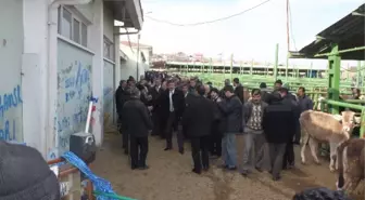 Hulisi Porgalı, Üreticilerin Sorunlarını Dinledi