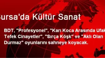 Bursa'da Kültür Sanat