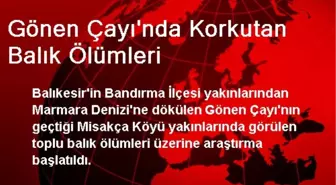 Gönen Çayında Korkutan Balık Ölümleri