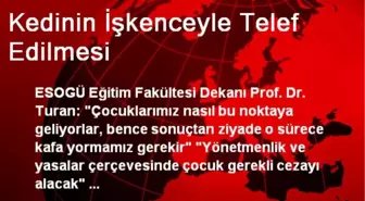 Kedinin İşkenceyle Telef Edilmesi