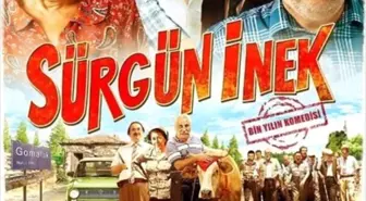 Sürgün İnek Filmi