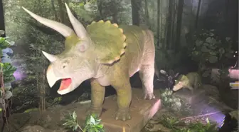 T-rex ve Triceratops ile 65 Milyon Yıl Öncesine Yolculuk