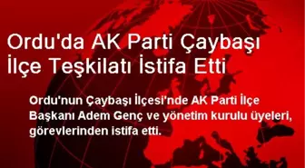 Ordu'da AK Parti Çaybaşı İlçe Teşkilatı İstifa Etti