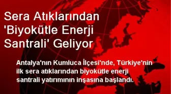 Sera Atıklarından 'Biyokütle Enerji Santrali' Geliyor