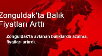 Zonguldak'ta Balık Fiyatları Arttı