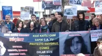 Kediyi Öldüren Genç Yargılansın Talebi