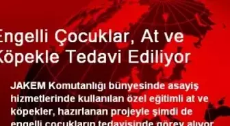 Engelli Çocuklar, At ve Köpekle Tedavi Ediliyor